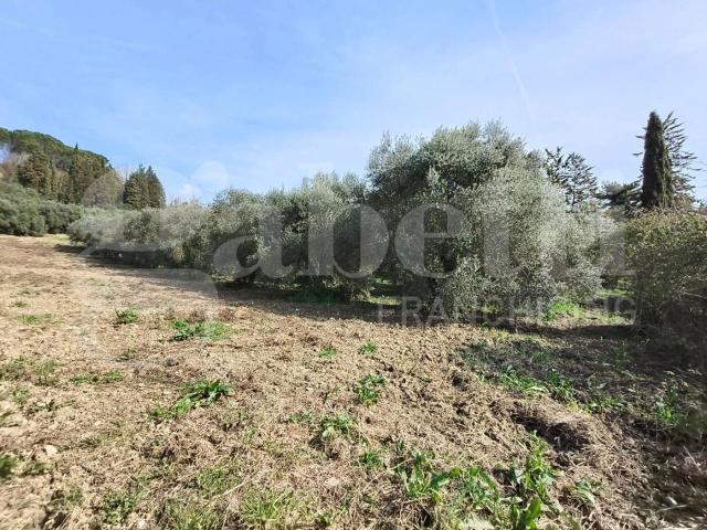 Terreno in vendita a Giove, Umbria