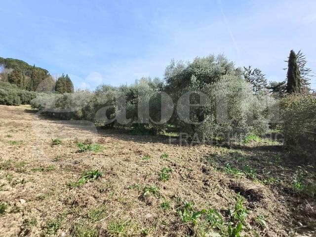 Terreno in vendita a Giove, Umbria