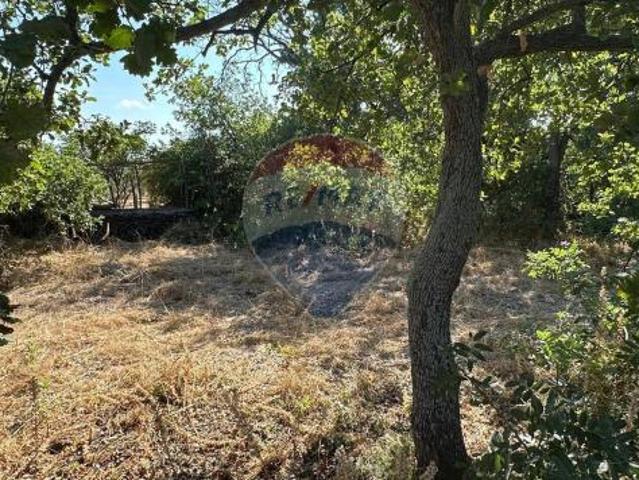 Terreno in vendita a Gravina Di Catania, Sicilia