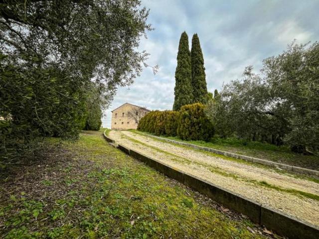 Terreno in vendita a Marche, Ancona