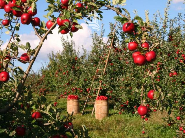 Terreno in vendita a Überetsch-Unterland - Oltradige-Bassa Atesina, Laives - Leifers