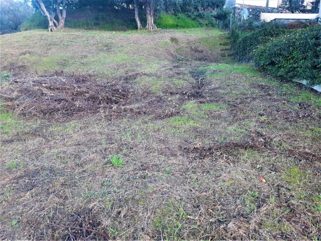 Terreno in vendita a Lajatico, Toscana