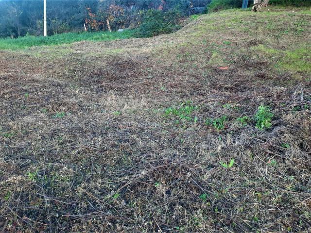 Terreno in vendita a Lajatico, Toscana