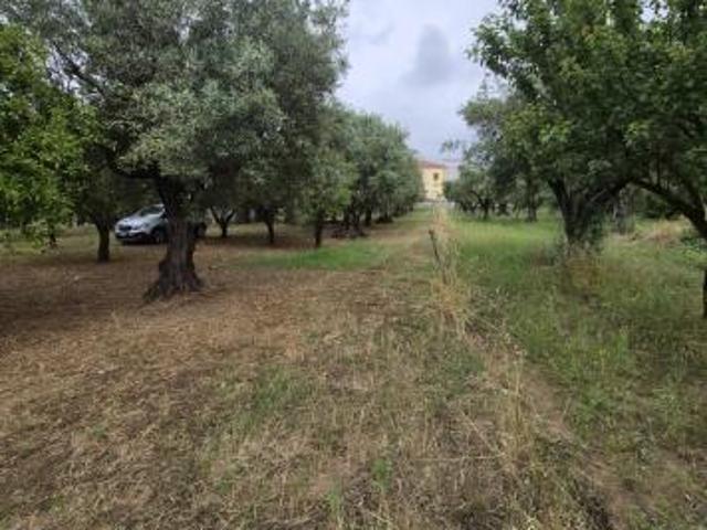 Terreno in vendita a Calabria, Catanzaro