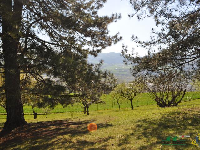 Terreno in vendita a Langhirano, Reggio Emilia
