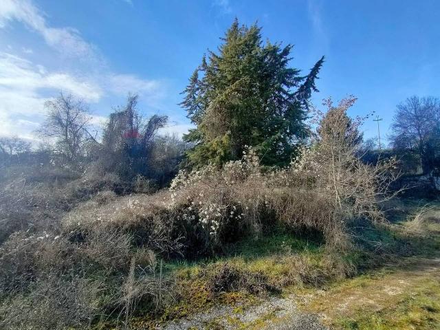 Terreno in vendita a Tornimparte, Abruzzo