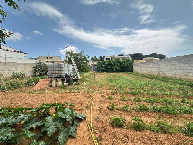 Terreno in vendita a Dragoni, Puglia