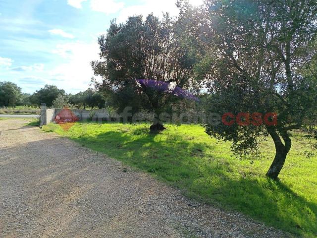 Terreno in vendita a Puglia, Taranto