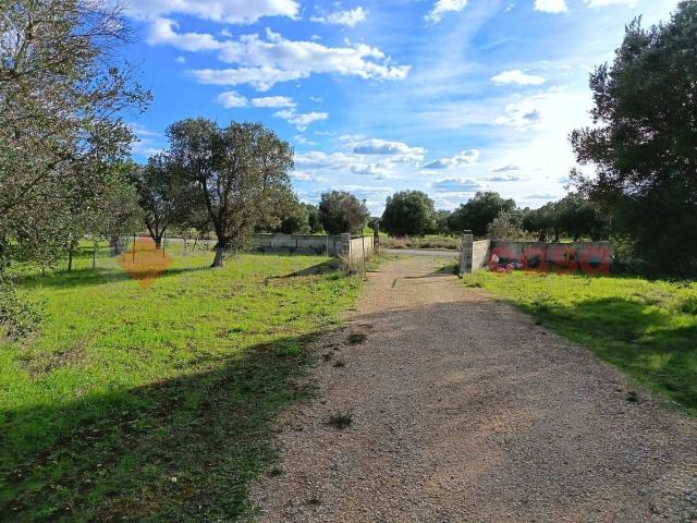 Terreno in vendita a Puglia, Taranto