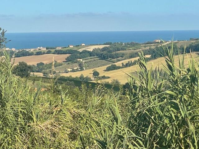 Terreno in vendita a Marche, Ancona