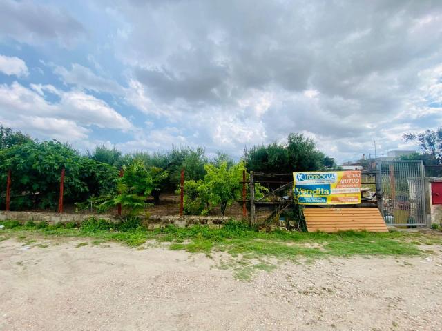 Terreno in vendita a Puglia, Foggia
