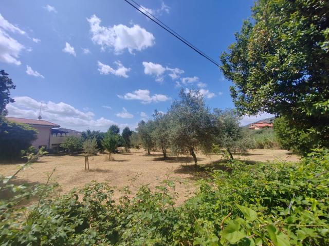Terreno in vendita a Maenza, Lazio