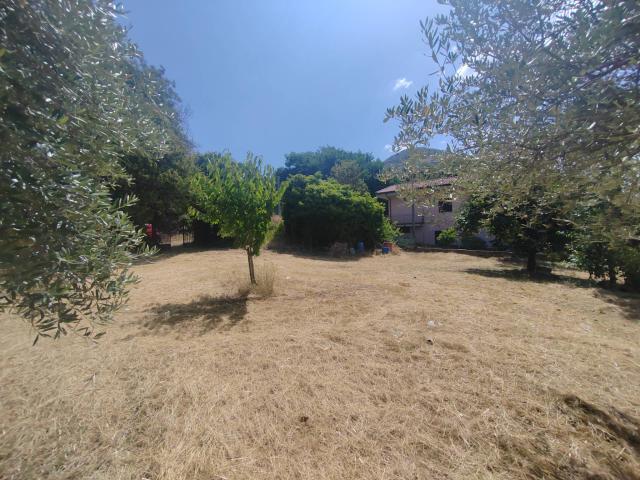 Terreno in vendita a Maenza, Lazio