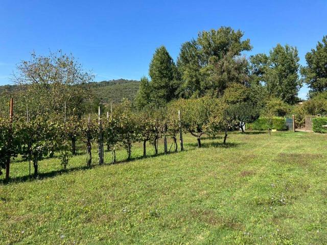 Terreno in vendita a Soccorso, Magione