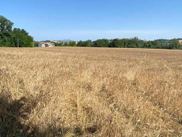 Terreno in vendita a Marche, Fermo