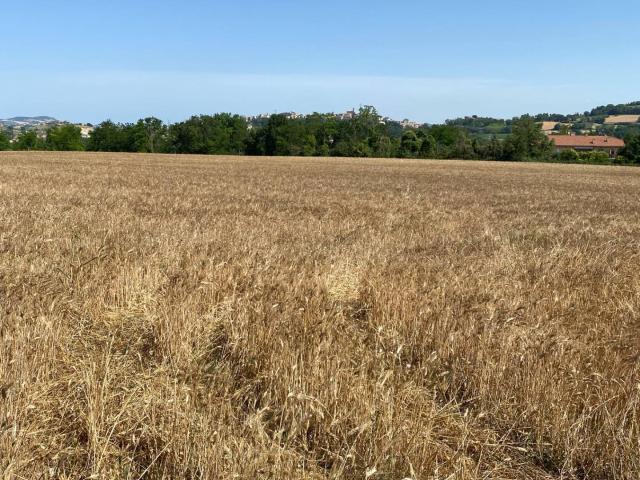 Terreno in vendita a Marche, Fermo