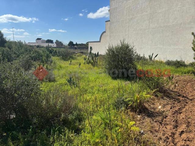 Terreno in vendita a Puglia, Taranto