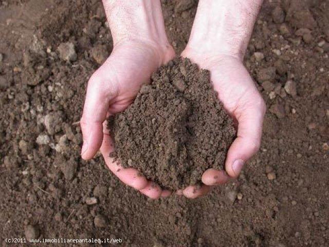 Terreno in vendita a Marsala, Sicilia