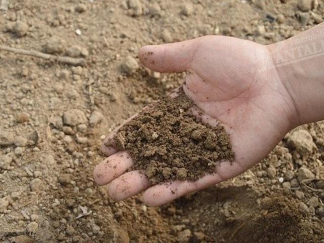 Terreno in vendita a Marsala, Sicilia