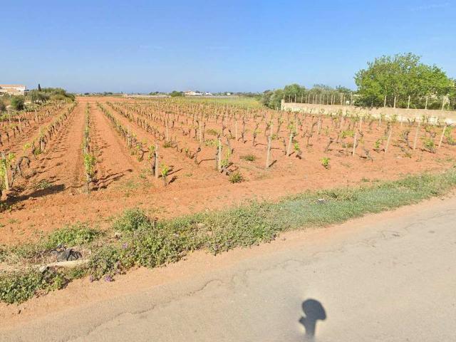 Terreno in vendita a Terrenove Bambina, Marsala