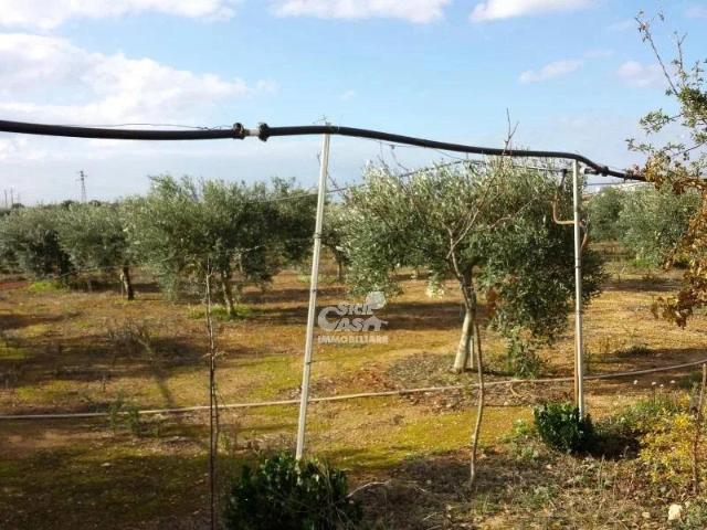 Terreno in vendita a Marsala, Sicilia