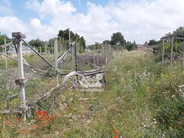 Terreno in vendita a Marsala, Sicilia