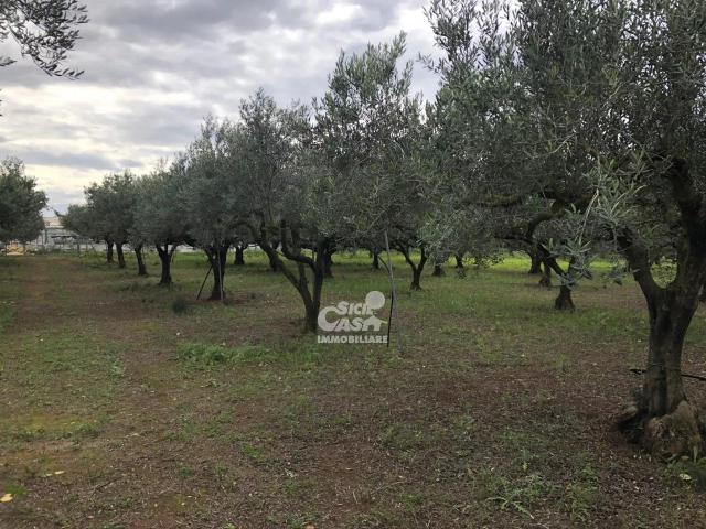 Terreno in vendita a Marsala, Sicilia