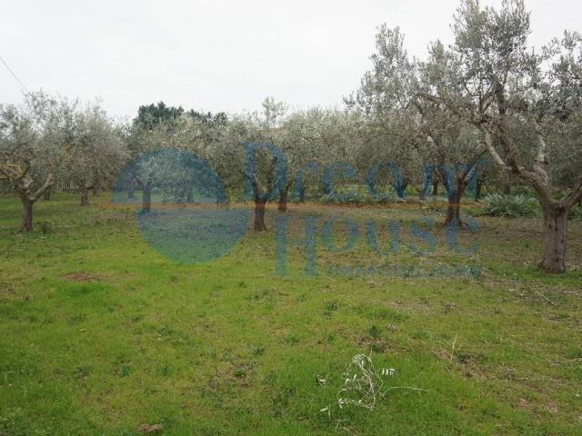 Terreno in vendita a Unione dei Comuni della Val Vibrata, Martinsicuro