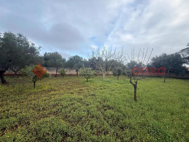 Terreno in vendita a Puglia, Taranto
