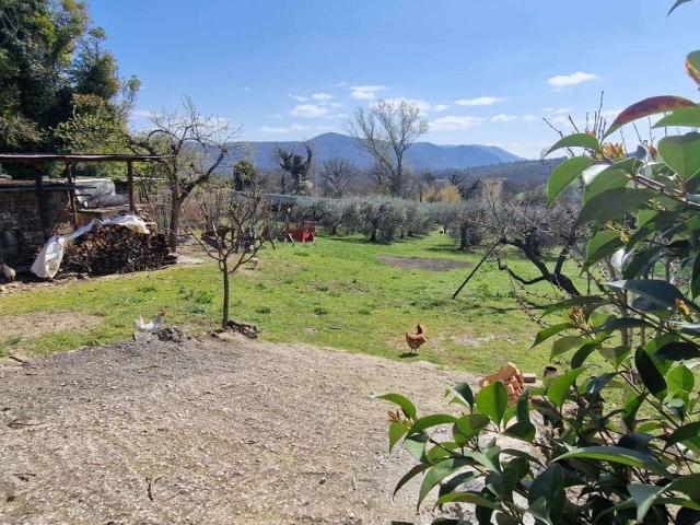 Terreno in vendita a Colpetrazzo, Umbria