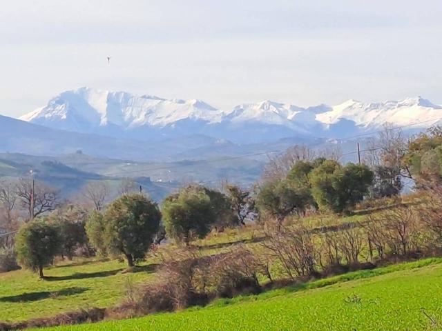 Terreno in vendita a Marche, Ascoli Piceno