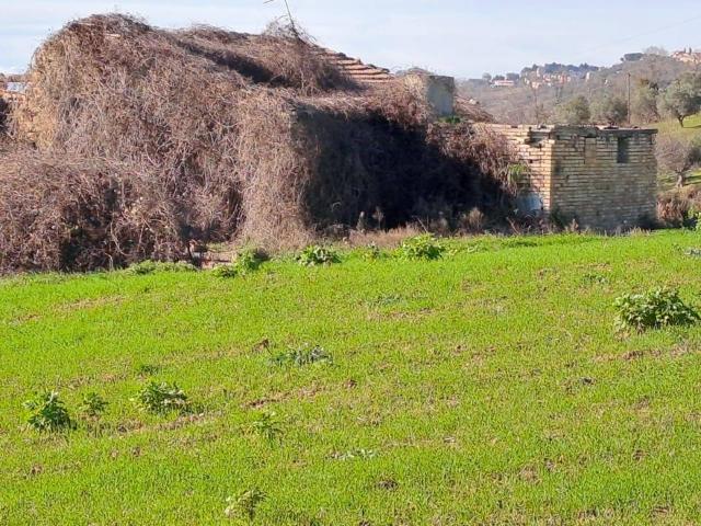 Terreno in vendita a Marche, Ascoli Piceno