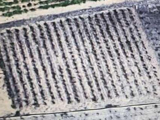 Terreno in vendita a Mazara Del Vallo, Sicilia