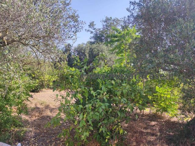 Terreno in vendita a Mazara Due, Mazara Del Vallo