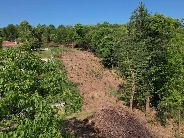 Terreno in vendita a Piemonte, Torino