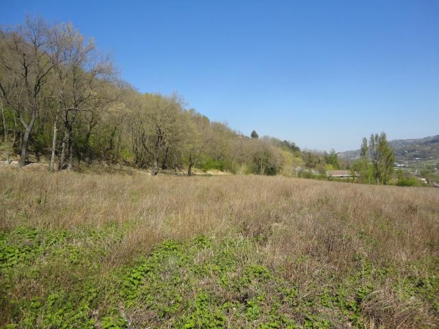 Terreno in vendita a Marche, Ancona