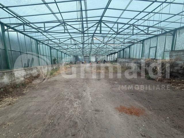 Terreno in vendita a I Circoscrizione, Messina