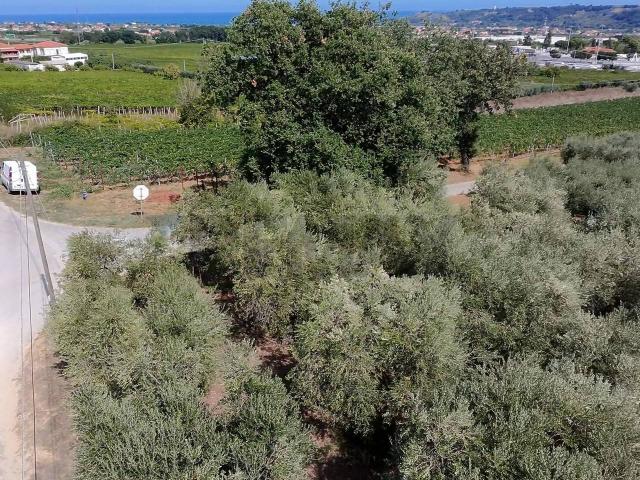 Terreno in vendita a Miglianico Di Chieti, Abruzzo