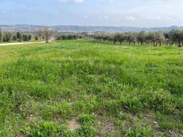Terreno in vendita a Miglianico, Chieti