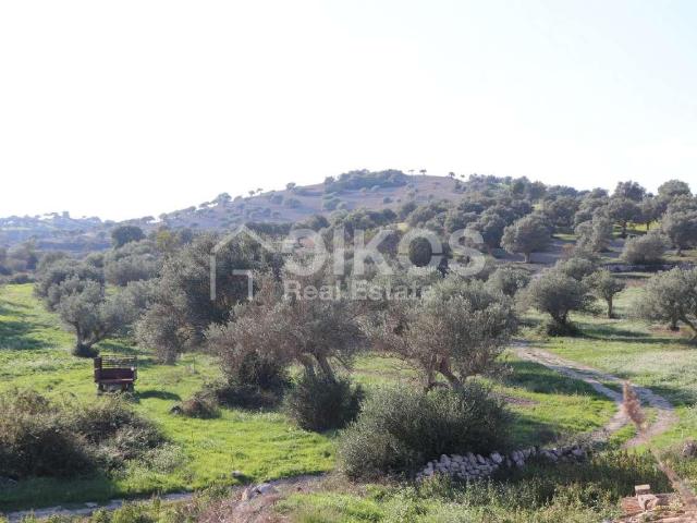 Terreno in vendita a Borgo San Giacomo, Modica