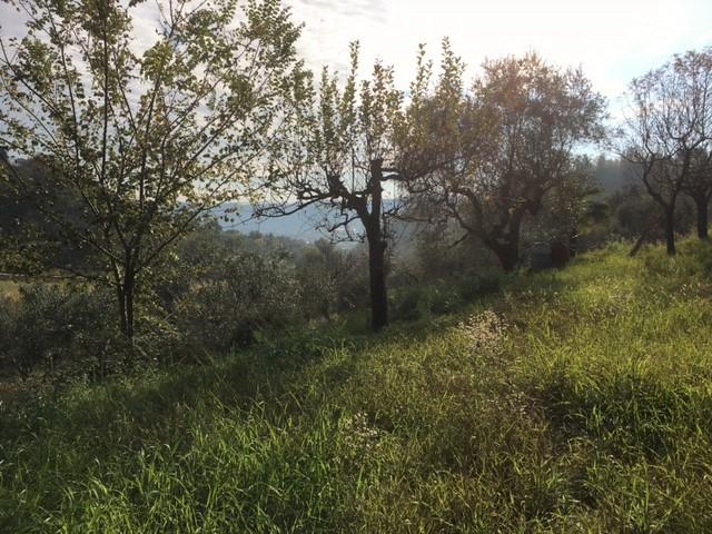 Terreno in vendita a Marche, Ascoli Piceno
