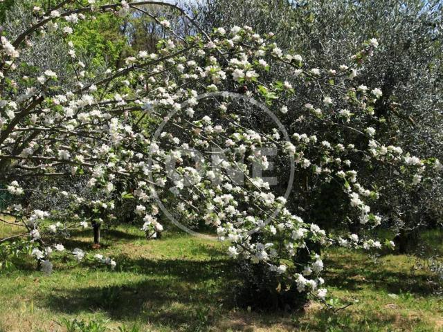 Terreno in vendita a San Martino, Montecchio