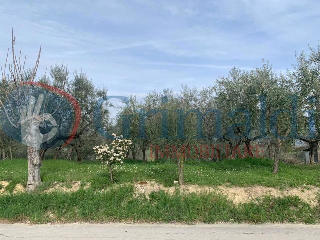 Terreno in vendita a Montefalco, Umbria