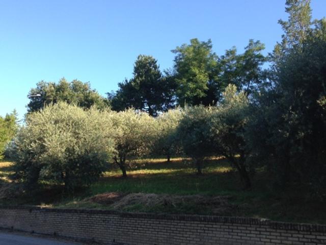 Terreno in vendita a Marche, Fermo