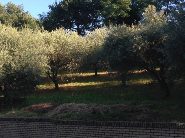 Terreno in vendita a Marche, Fermo