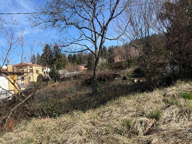 Terreno in vendita a Comunità Montana Valli del Verbano, Montegrino Valtravaglia