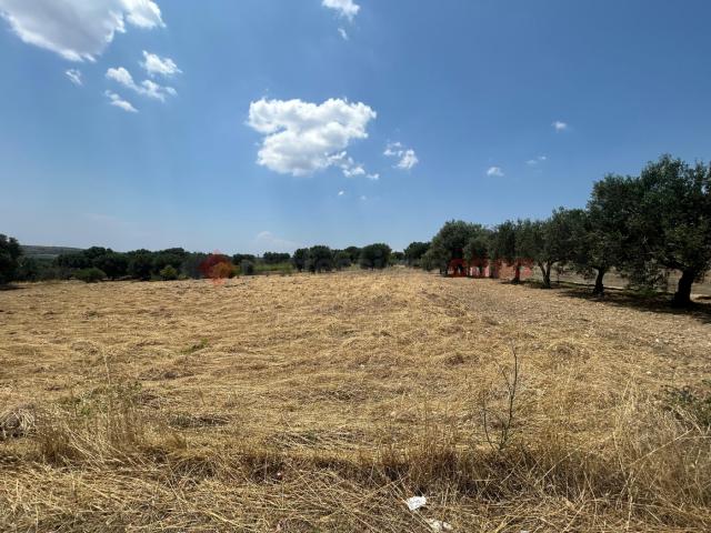 Terreno in vendita a Puglia, Taranto