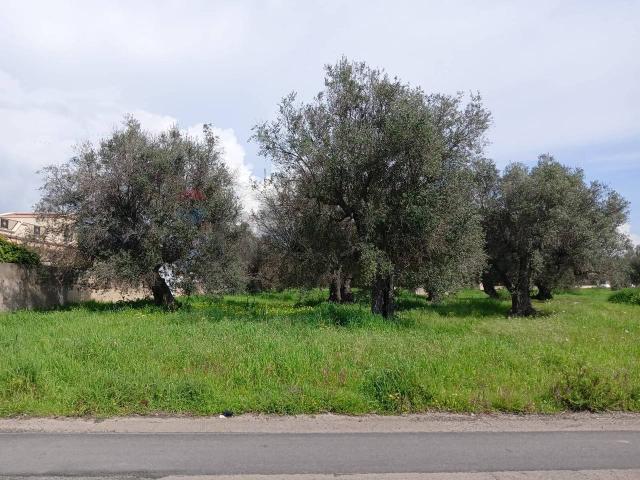 Terreno in vendita a Puglia, Taranto