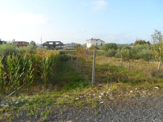Terreno in vendita a Molino, Marche