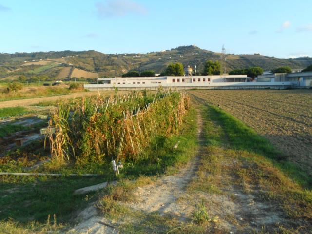 Terreno in vendita a Molino, Marche